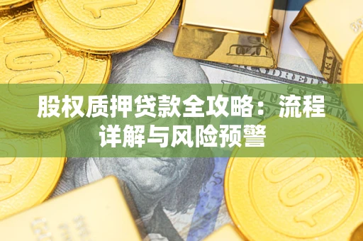 北京股权质押贷款全攻略：流程详解与风险预警