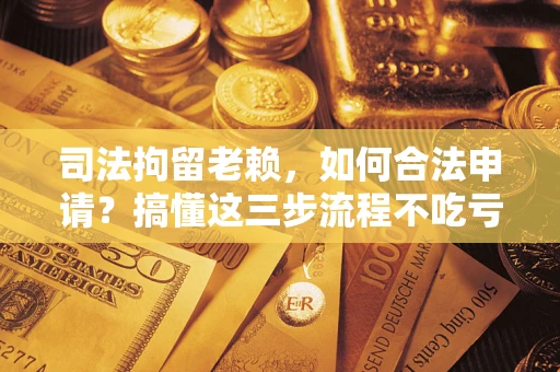 北京司法拘留老赖，如何合法申请？搞懂这三步流程不吃亏！