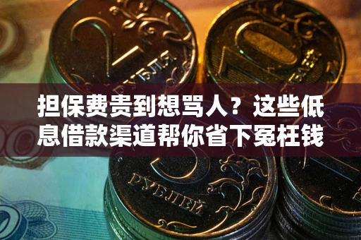 北京担保费贵到想骂人？这些低息借款渠道帮你省下冤枉钱
