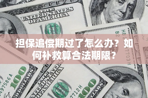 北京担保追偿期过了怎么办？如何补救算合法期限？
