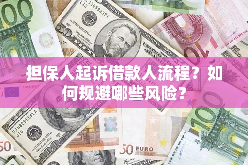 北京担保人起诉借款人流程？如何规避哪些风险？