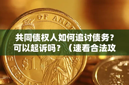 北京共同债权人如何追讨债务？可以起诉吗？（速看合法攻略）