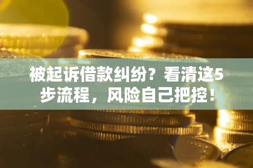 北京被起诉借款纠纷？看清这5步流程，风险自己把控！