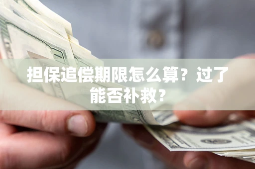 北京担保追偿期限怎么算？过了能否补救？